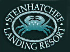 Go To Steinhatchee Landing Site