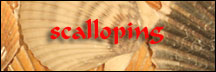 Scalloping Information