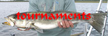 Steinhatchee Fishing Tournaments